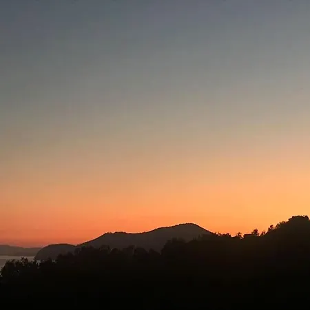 Joli Dans Les Pins Face à La Mer Hyères