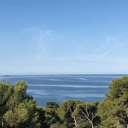 Joli Dans Les Pins Face à La Mer Hyères
