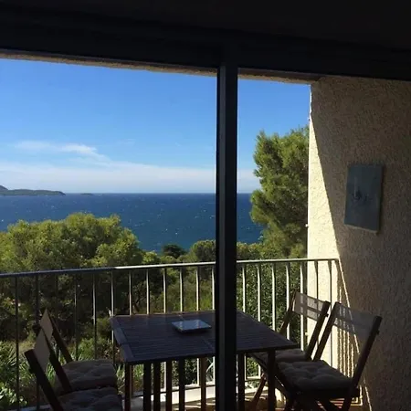 Joli Dans Les Pins Face à La Mer