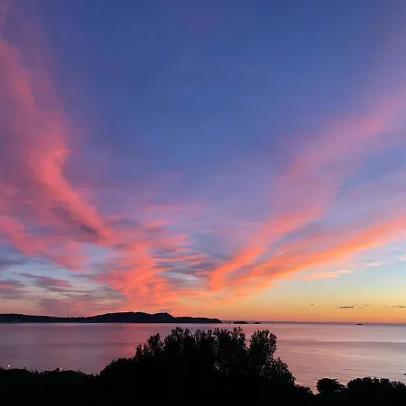 Joli Dans Les Pins Face à La Mer * Hyères
